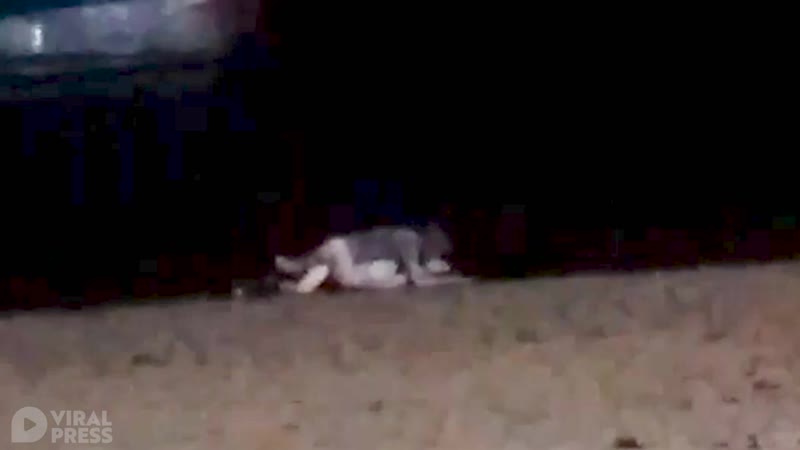 Секс на пляже не иначе