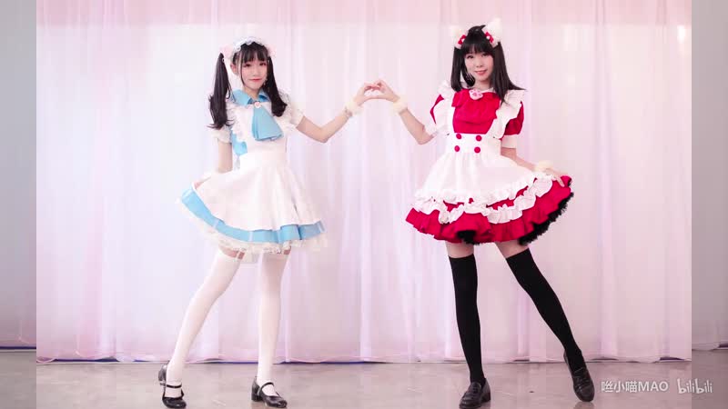 Ibaraki cat show time