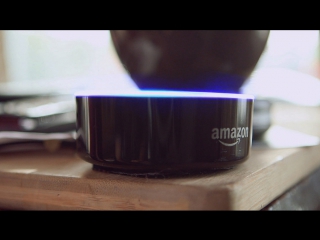 Alexa's involvement with the cia rus sub