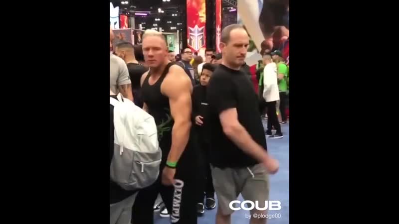 Когда ты боксер, и любая кочка тебе по плечу