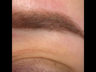 Пудровое напыление в макросъемке #перманентлуганск#