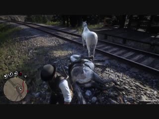 Found this thoroughbred in the wild, and had just finished transferring the saddle to my main horse red dead redemption 2