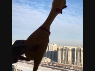 Наркоз не отпускает, поэтому пока так 😅