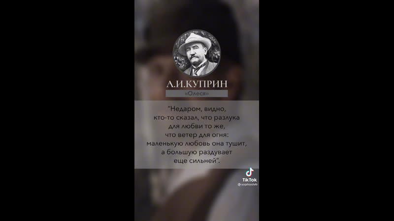 Подборка цитат