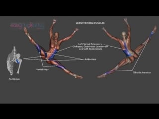 Sls renverse tilt jump ronverse dance ballet anatomy kinesiology