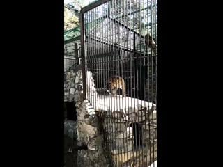 Vid 20200921 141426 mp4