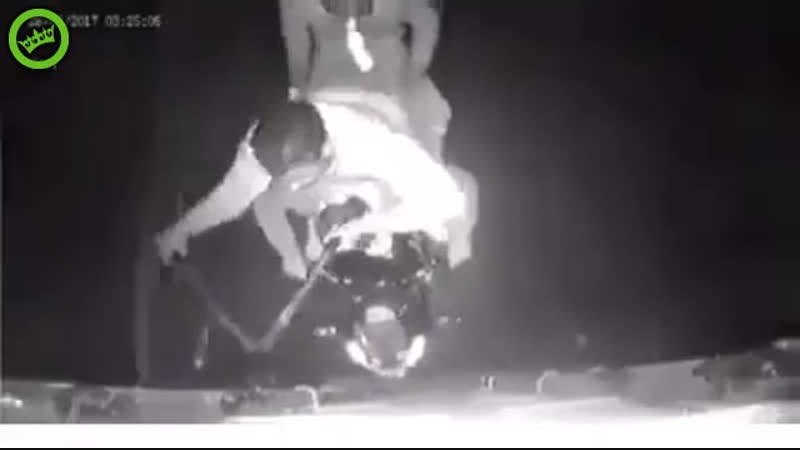 Профессиональные воры