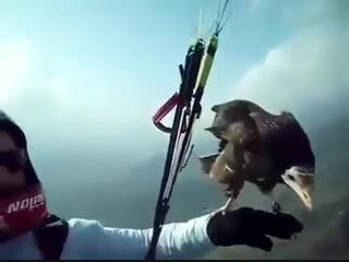 Meeting up with his bird while skydiving