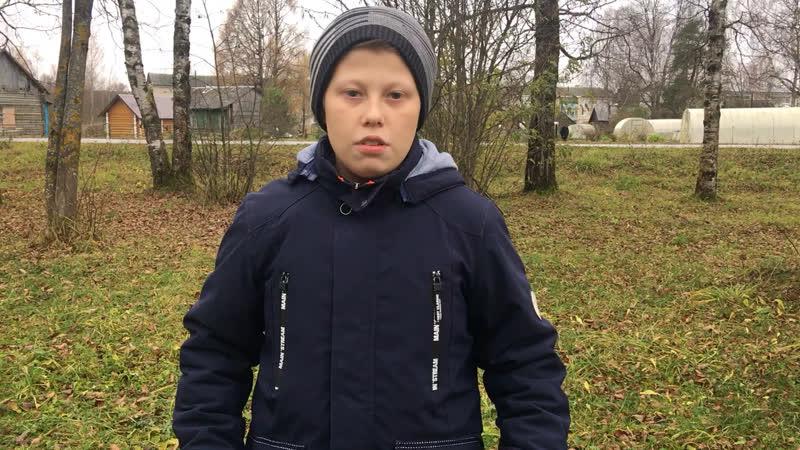 «нивы сжаты, рощи голы »