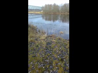 Vid 20200120 114142 mp4