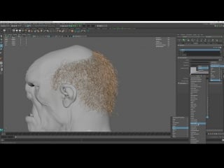 Tom newbury «xgen hair for characters» (part 4/11)