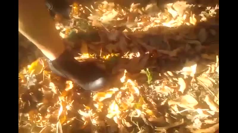 Не успели кончить, спалились, кутузовский парк (г сочи) (отрывок, личная коллекция юлии вайс)