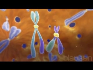 47 хронический миелолейкоз