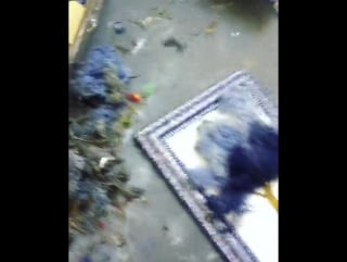 [instagram] 180103 кису