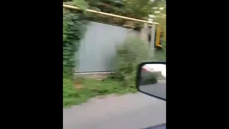 Я ехала ехала