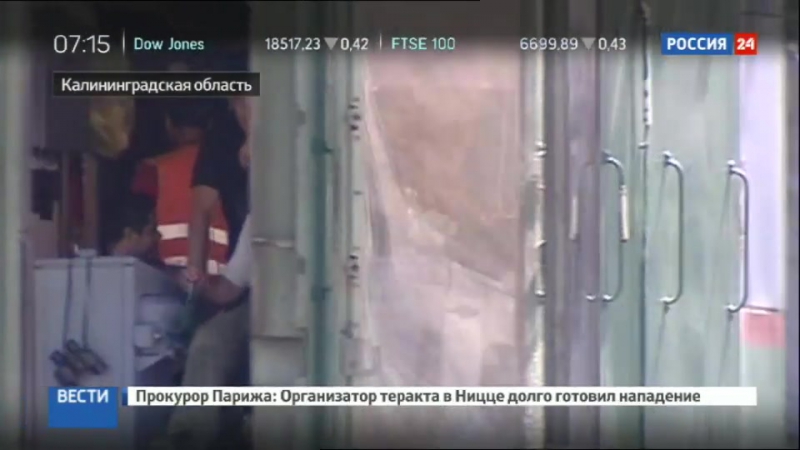 Калининградские старатели нашли уникальный янтарный самородок