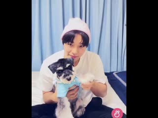 200801 max's bday party vlive