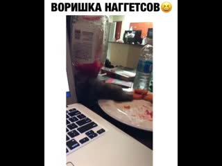 Тихо спиз ил и ушол называется нашол ))))👍красава кошара