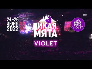 Фестиваль «дикая мята violet» 24 26 июня, тульская обл