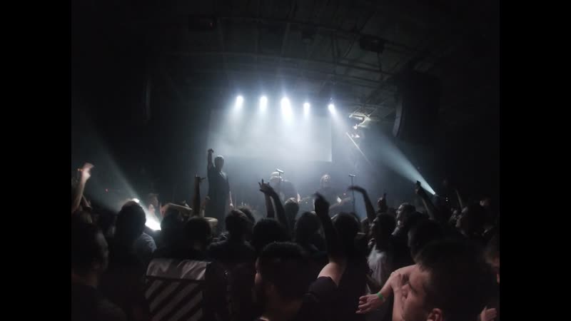 Жало live aglomerat