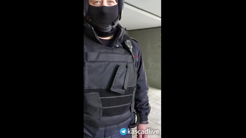 Жительница жк «каскад» поставила на место воришек в балаклавах (1)