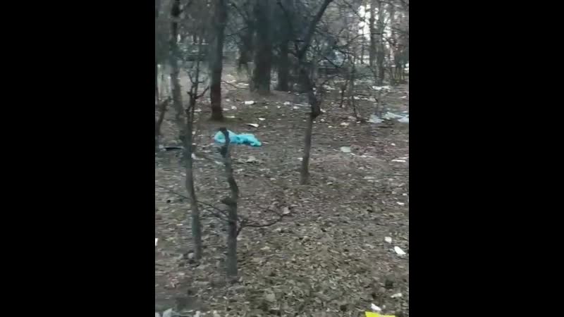 Мусор в ангарске