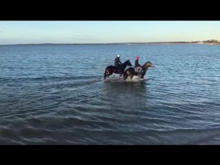 Good morning from winx and foxplay at the beach