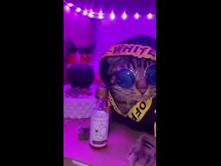 Видимо прикольно расположились и молодые питонцы дома