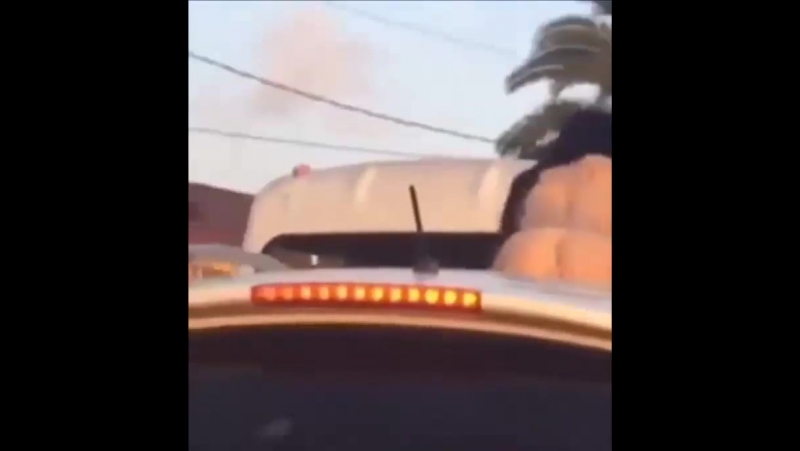 Что только не встретишь в адлере