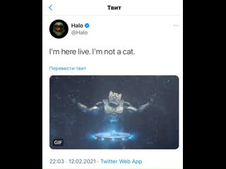 Master chief cat|cut the frag