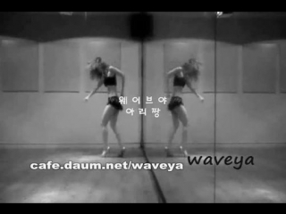 Beyonce (비욘세) single ladies (싱글레이디) ★ waveya (웨이브야) dancer ari jung (아리짱 댄서)