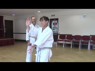 Rick hotton sensei ireland england seminar 2014