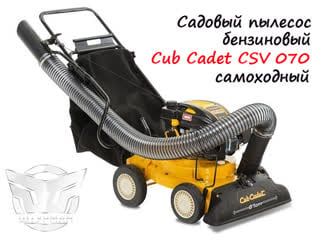 Пылесоссадовыйэлектрический porn videos - BEST XXX TUBE