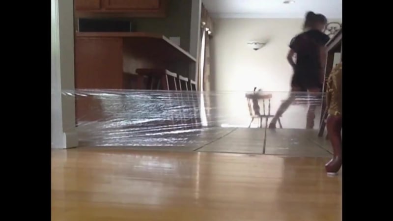 Нехуй шутить с котом, тупая шкура!