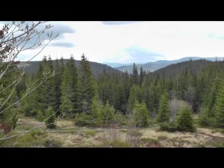 Мандруючи україною гори карпати село ворохта, гора говерла відео подорож hd