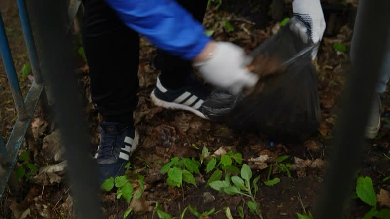 Патриотизм в действии