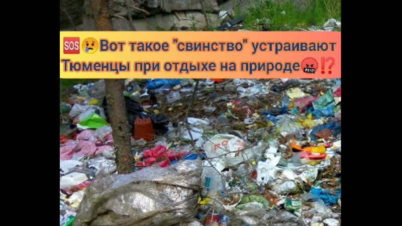 Тюменцы устраивают форменное свинство на природе