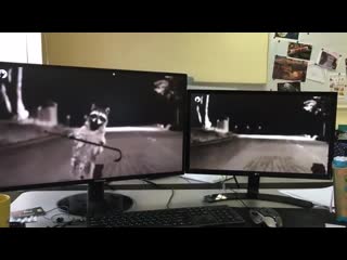 Working mood faidherbe enot x 2