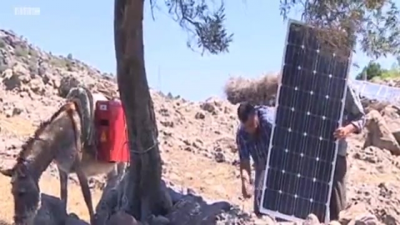 Осел на солнечных батареях (группа огого видео)