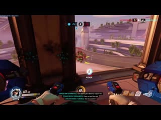 Reddit diva bullies roadhog into traffic