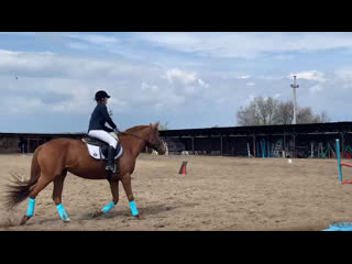 Коннова настя и фламенка