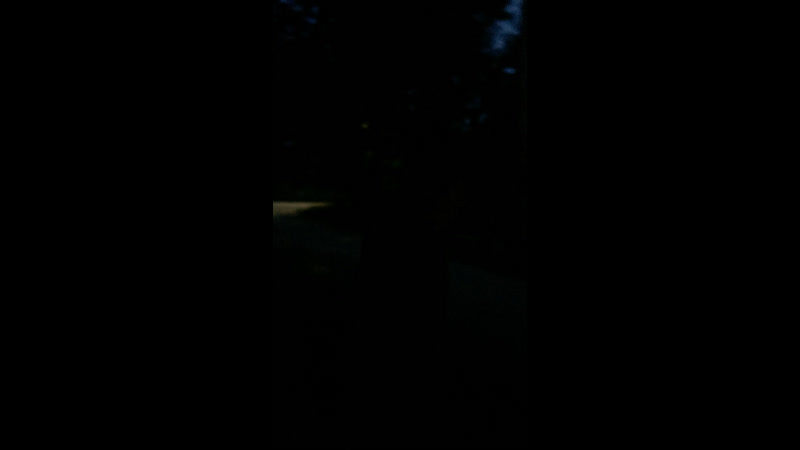 Live kunteynir style