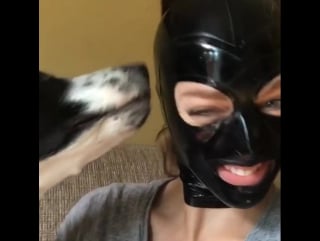 Instagram video by gummi girl • jun 14, 2016 at 1 33pm utc