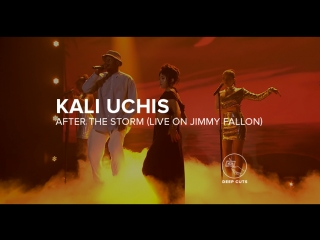 Kali uchis after the storm (live on jimmy fallon)