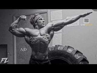 Artemus dolgin the epitome of aesthetics motivation