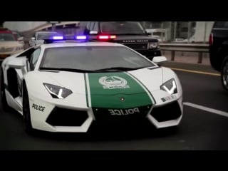 Полиция дубая в действии