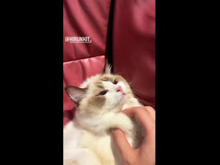 Bbrightvc 20210227 29 mp4