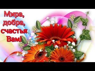 Желаю вам ★💖🌷•⊰✨🌺🌞★ елена ваенга ★💝🌺✨⊱•🌷★