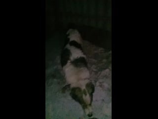 Video 20200109 210018 mp4