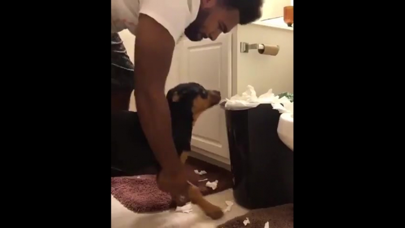 Пора осознать последствия веселья (vhs video)